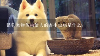 猫狗宠物传染给人的寄生虫病是什么？