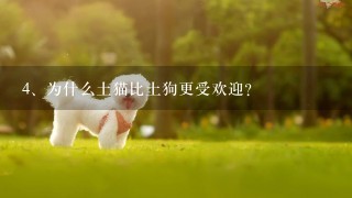 为什么土猫比土狗更受欢迎？