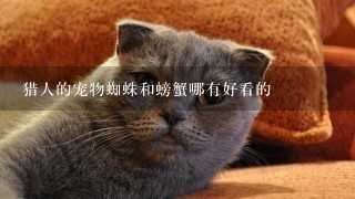 猎人的宠物蜘蛛和螃蟹哪有好看的