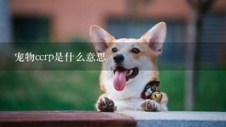 宠物ccrp是什么意思