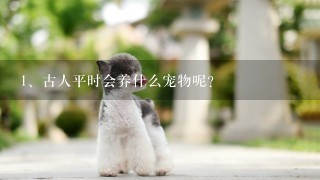 古人平时会养什么宠物呢？