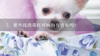 紫外线消毒灯对狗狗有害处吗?