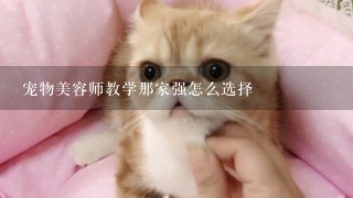 宠物美容师教学那家强怎么选择