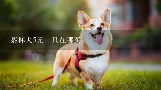 茶杯犬5元一只在哪买