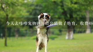 今天去哆哆宠物诊所给公猫做了绝育，收费480，还开了消炎药，他们跟我说是进口的，然后总共677，在加上个