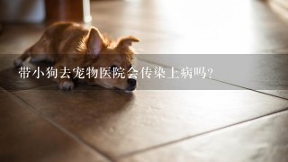 带小狗去宠物医院会传染上病吗？