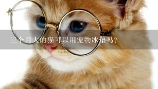 三个月大的猫可以用宠物冰垫吗？