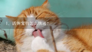 活体宠物怎么快递？