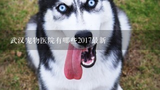 武汉宠物医院有哪些2017最新