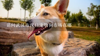 请问武汉市汉口宠物狗市场在哪