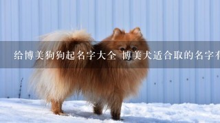 给博美狗狗起名字大全 博美犬适合取的名字有哪些