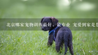 北京哪家宠物训练最好，最专业 宠爱到家是您最好选择