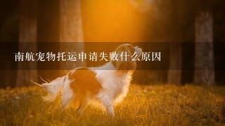 南航宠物托运申请失败什么原因