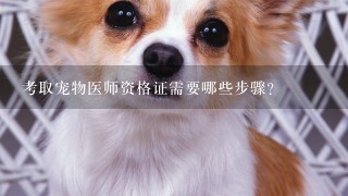 考取宠物医师资格证需要哪些步骤？