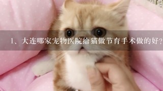 大连哪家宠物医院给猫做节育手术做的好？还不贵？