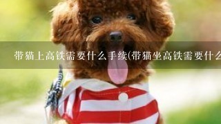 带猫上高铁需要什么手续(带猫坐高铁需要什么证明)