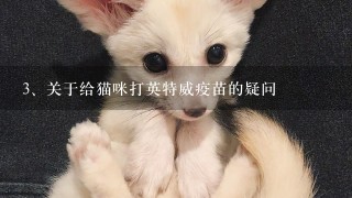 关于给猫咪打英特威疫苗的疑问