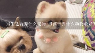 男生适合养什么宠物 男孩子养什么动物最好呢