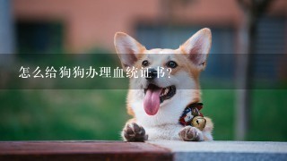 怎么给狗狗办理血统证书？