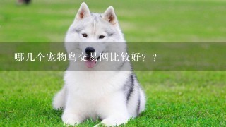 哪几个宠物鸟交易网比较好？？