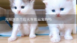 沈阳到普兰店大客能运宠物吗