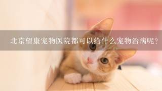 北京望康宠物医院都可以给什么宠物治病呢？