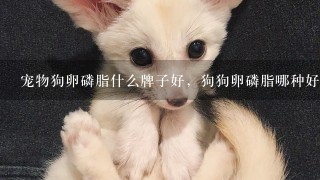 宠物狗卵磷脂什么牌子好，狗狗卵磷脂哪种好