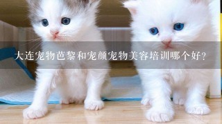 大连宠物芭黎和宠颜宠物美容培训哪个好？