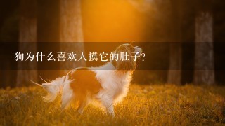 狗为什么喜欢人摸它的肚子?