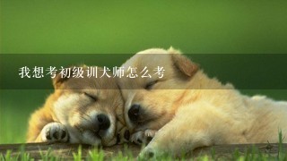 我想考初级训犬师怎么考