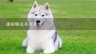 灌阳哪有养犬基地