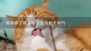 被猫抓了或者咬了会得狂犬病吗