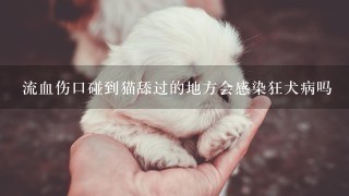 流血伤口碰到猫舔过的地方会感染狂犬病吗