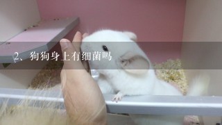 狗狗身上有细菌吗