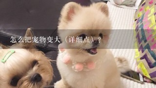 怎么把宠物变大（详细点）？