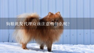 狗粮批发代理应该注意些什么呢？