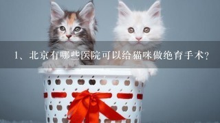 北京有哪些医院可以给猫咪做绝育手术？