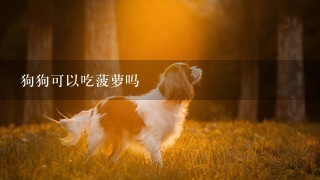 狗狗可以吃菠萝吗