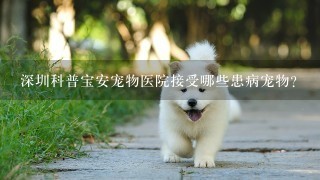 深圳科普宝安宠物医院接受哪些患病宠物？