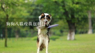 狗狗八联疫苗包括什么