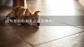 国外养狗的相关法律有哪些？