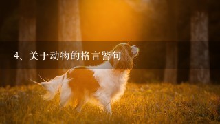 关于动物的格言警句