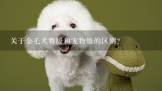 关于金毛犬赛级和宠物级的区别？