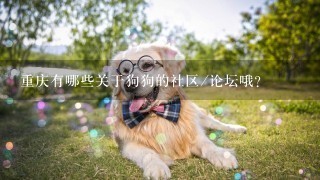 重庆有哪些关于狗狗的社区/论坛哦？
