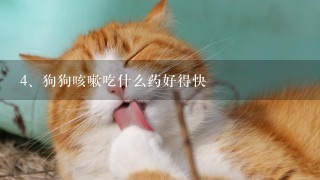 狗狗咳嗽吃什么药好得快