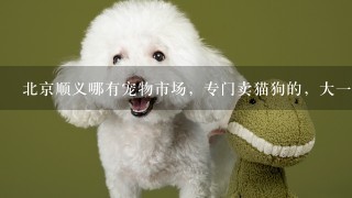 北京顺义哪有宠物市场，专门卖猫狗的，大一点的市场???