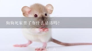 狗狗死家里了有什么忌讳吗？