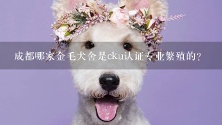 成都哪家金毛犬舍是cku认证专业繁殖的？