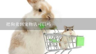 把狗卖到宠物店可以吗