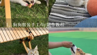 狗狗服装手工diy制作教程